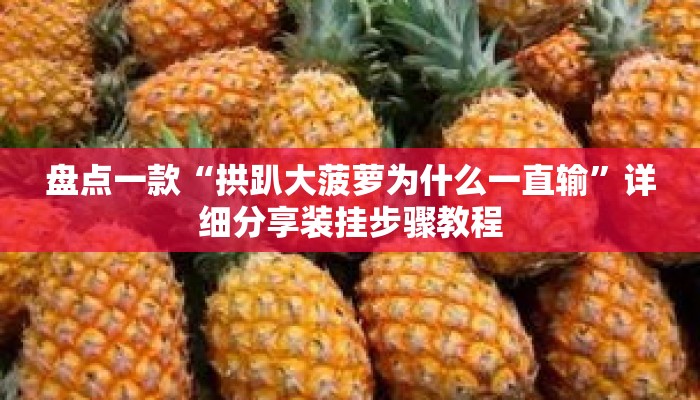 盘点一款“拱趴大菠萝为什么一直输	”详细分享装挂步骤教程