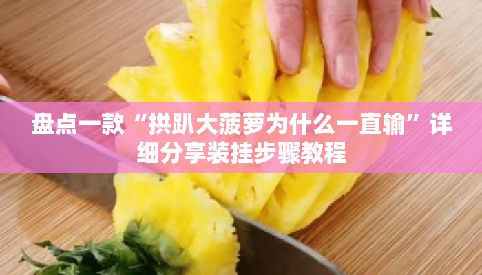 盘点一款“拱趴大菠萝为什么一直输”详细分享装挂步骤教程