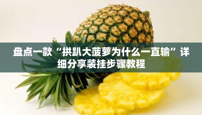 盘点一款“拱趴大菠萝为什么一直输”详细分享装挂步骤教程