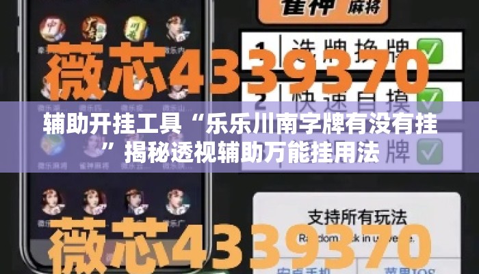 辅助开挂工具“乐乐川南字牌有没有挂”揭秘透视辅助万能挂用法