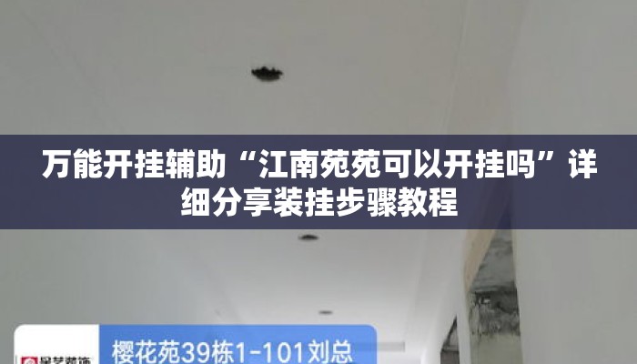 万能开挂辅助“江南苑苑可以开挂吗”详细分享装挂步骤教程
