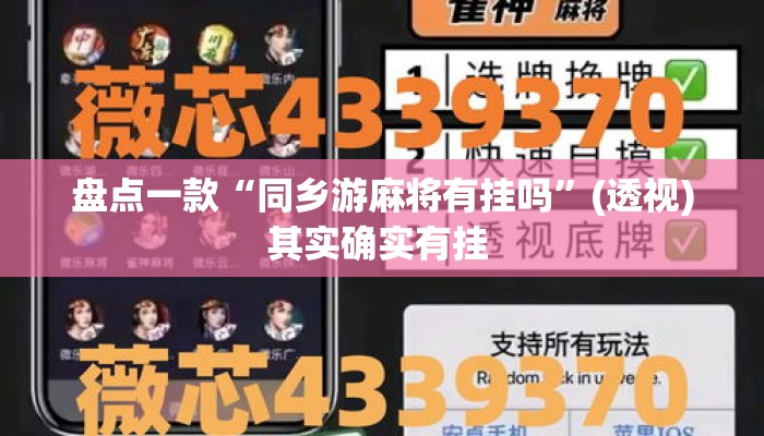 盘点一款“同乡游麻将有挂吗”(透视)其实确实有挂 
