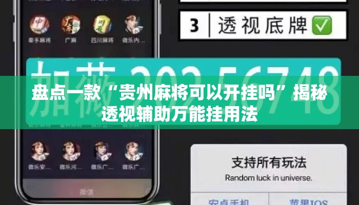盘点一款“贵州麻将可以开挂吗”揭秘透视辅助万能挂用法