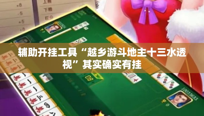 辅助开挂工具“越乡游斗地主十三水透视	”其实确实有挂