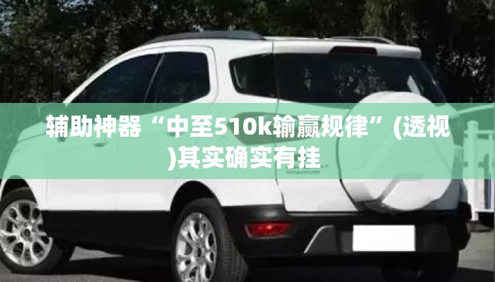 辅助神器“中至510k输赢规律	”(透视)其实确实有挂 