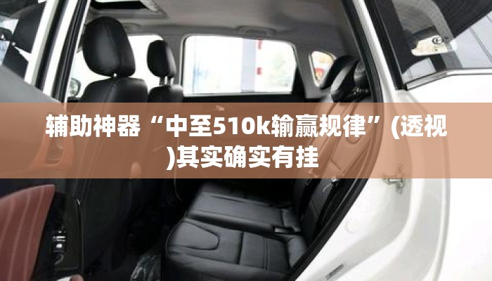 辅助神器“中至510k输赢规律”(透视)其实确实有挂 