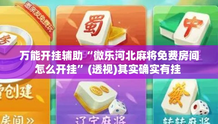 万能开挂辅助“微乐河北麻将免费房间怎么开挂”(透视)其实确实有挂 