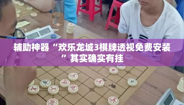辅助神器“欢乐龙城3棋牌透视免费安装	”其实确实有挂