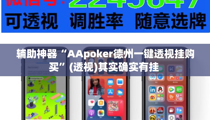 辅助神器“AApoker德州一键透视挂购买”(透视)其实确实有挂 
