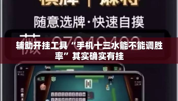 辅助开挂工具“手机十三水能不能调胜率”其实确实有挂
