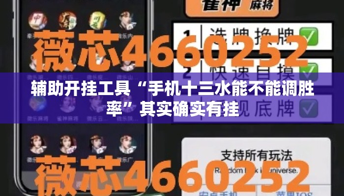 辅助开挂工具“手机十三水能不能调胜率”其实确实有挂