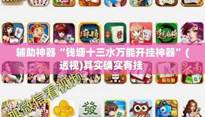 辅助神器“钱塘十三水万能开挂神器”(透视)其实确实有挂 