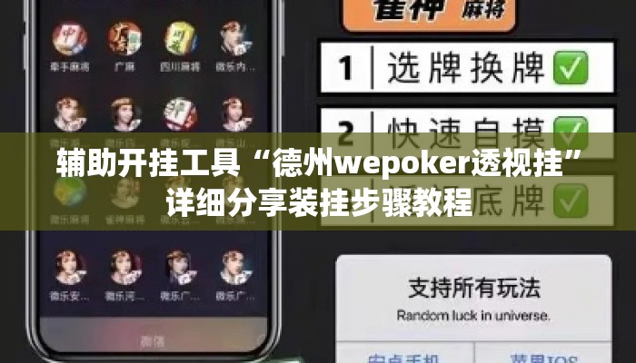 辅助开挂工具“德州wepoker透视挂”详细分享装挂步骤教程