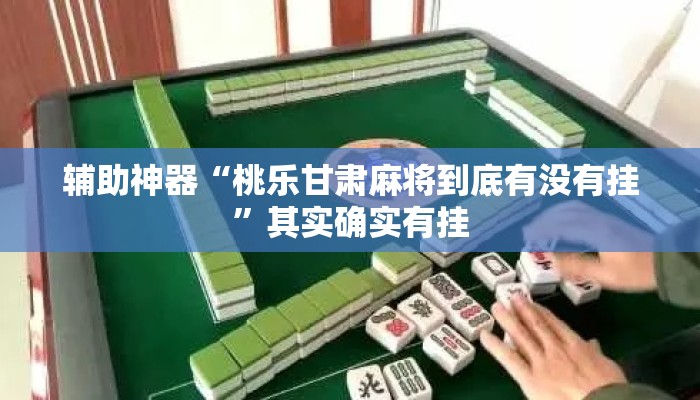 辅助神器“桃乐甘肃麻将到底有没有挂”其实确实有挂