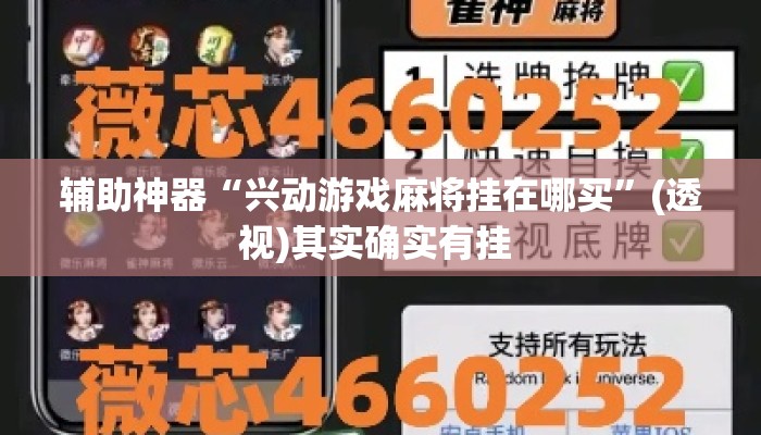 辅助神器“兴动游戏麻将挂在哪买”(透视)其实确实有挂 