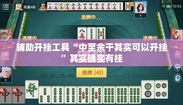 辅助开挂工具“中至余干其实可以开挂”其实确实有挂