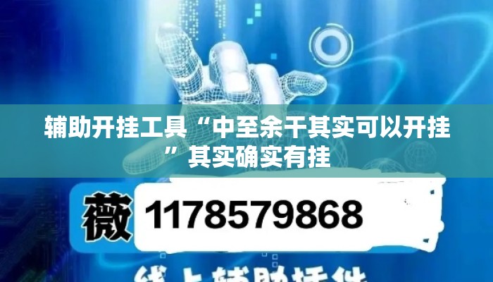 辅助开挂工具“中至余干其实可以开挂”其实确实有挂