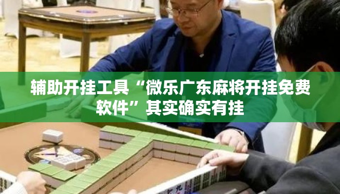 辅助开挂工具“微乐广东麻将开挂免费软件”其实确实有挂