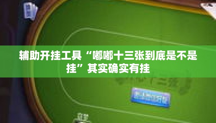辅助开挂工具“嘟嘟十三张到底是不是挂”其实确实有挂