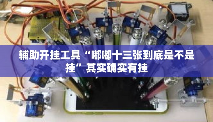 辅助开挂工具“嘟嘟十三张到底是不是挂	”其实确实有挂