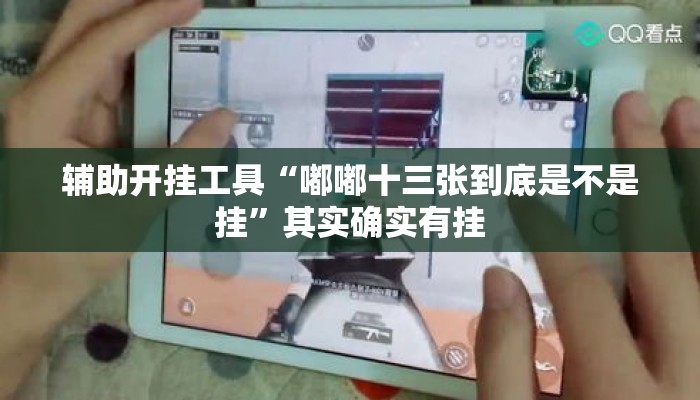 辅助开挂工具“嘟嘟十三张到底是不是挂”其实确实有挂