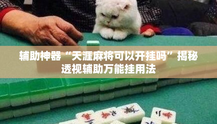 辅助神器“天涯麻将可以开挂吗”揭秘透视辅助万能挂用法