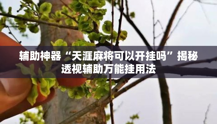 辅助神器“天涯麻将可以开挂吗	”揭秘透视辅助万能挂用法
