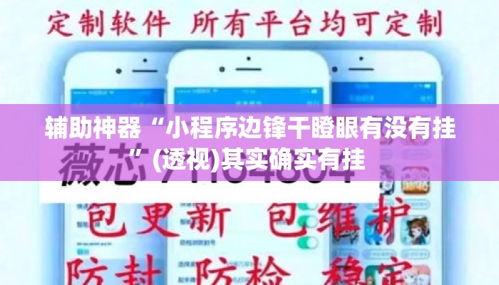 辅助神器“小程序边锋干瞪眼有没有挂	”(透视)其实确实有挂 