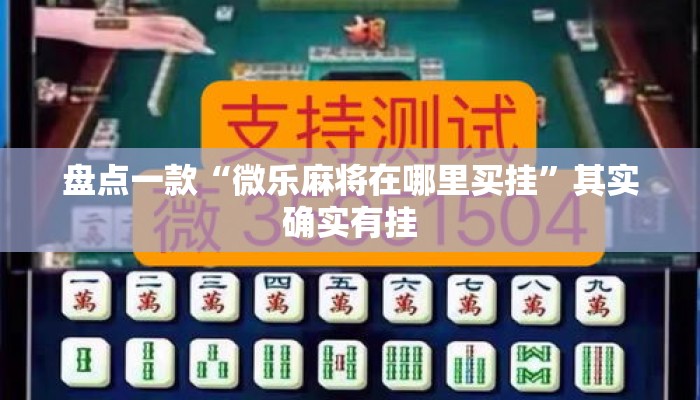 盘点一款“微乐麻将在哪里买挂”其实确实有挂