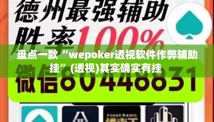 盘点一款“wepoker透视软件作弊辅助挂”(透视)其实确实有挂 