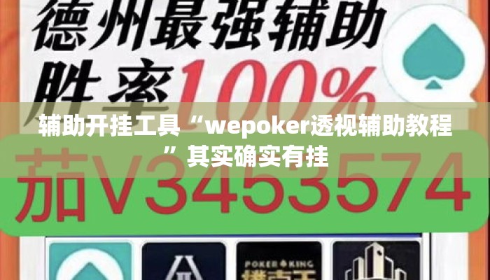 辅助开挂工具“wepoker透视辅助教程”其实确实有挂