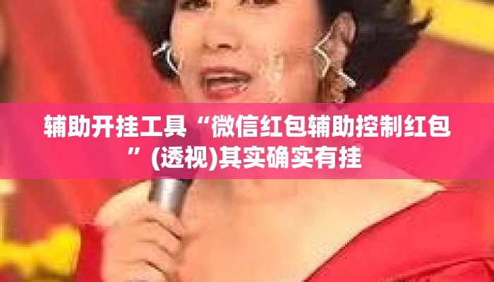 辅助开挂工具“微信红包辅助控制红包”(透视)其实确实有挂 