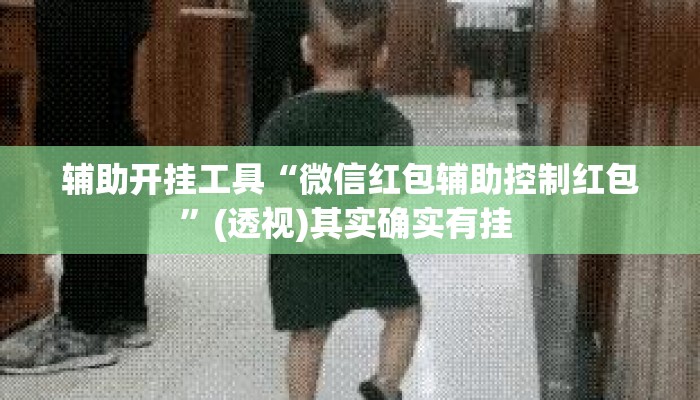 辅助开挂工具“微信红包辅助控制红包	”(透视)其实确实有挂 