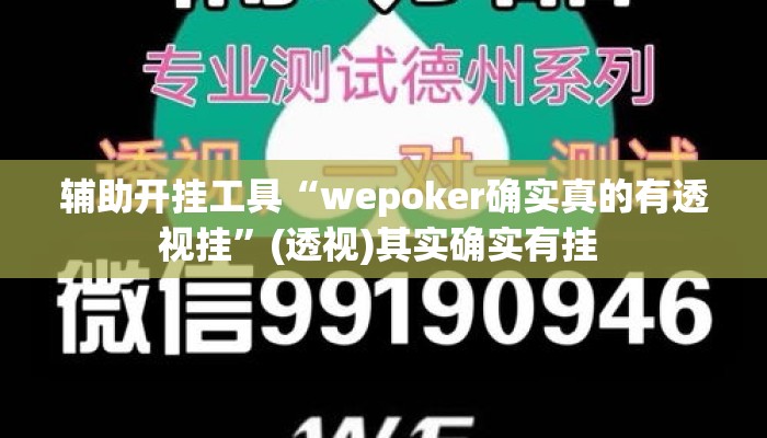 辅助开挂工具“wepoker确实真的有透视挂	”(透视)其实确实有挂 