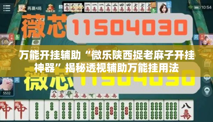 万能开挂辅助“微乐陕西捉老麻子开挂神器	”揭秘透视辅助万能挂用法