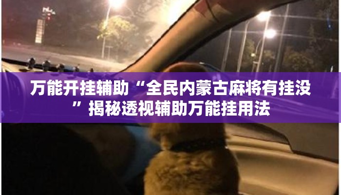 万能开挂辅助“全民内蒙古麻将有挂没”揭秘透视辅助万能挂用法