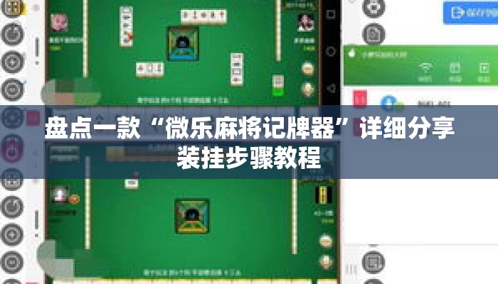 盘点一款“微乐麻将记牌器	”详细分享装挂步骤教程