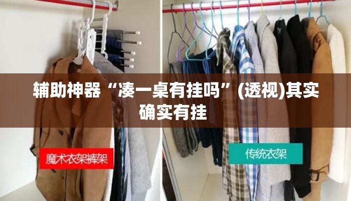 辅助神器“凑一桌有挂吗”(透视)其实确实有挂 