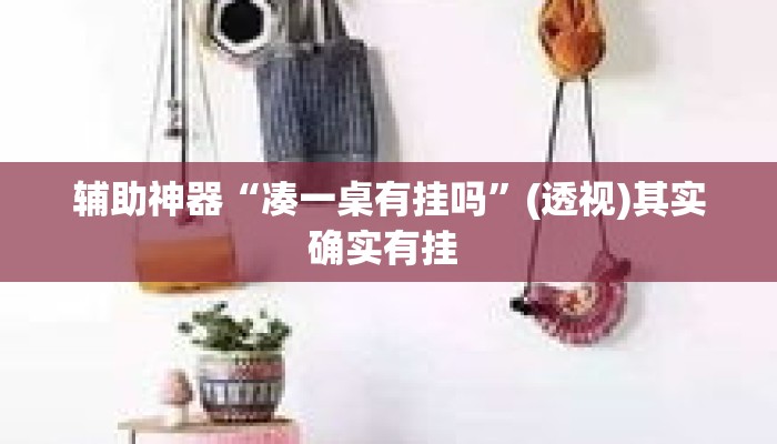 辅助神器“凑一桌有挂吗”(透视)其实确实有挂 