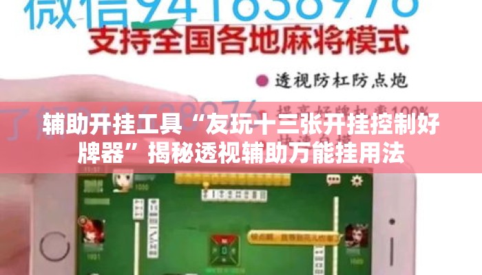 辅助开挂工具“友玩十三张开挂控制好牌器”揭秘透视辅助万能挂用法