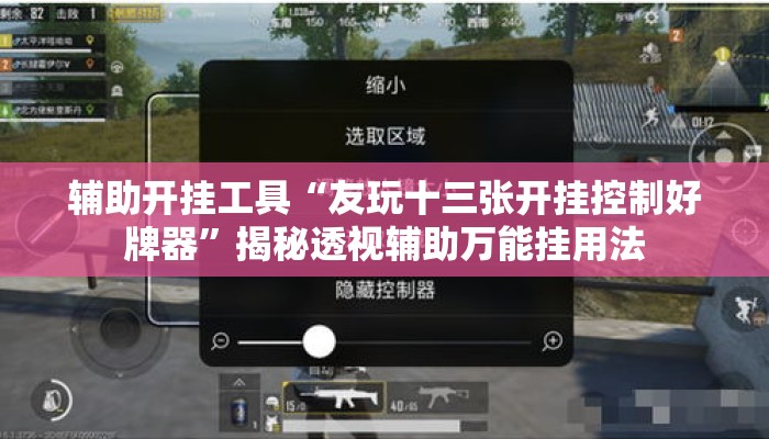 辅助开挂工具“友玩十三张开挂控制好牌器”揭秘透视辅助万能挂用法