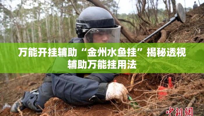 万能开挂辅助“金州水鱼挂	”揭秘透视辅助万能挂用法