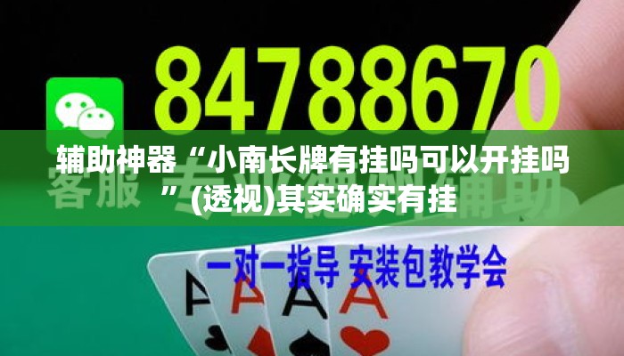辅助神器“小南长牌有挂吗可以开挂吗”(透视)其实确实有挂 