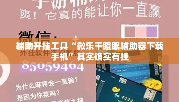 辅助开挂工具“微乐干瞪眼辅助器下载手机”其实确实有挂