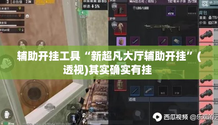 辅助开挂工具“新超凡大厅辅助开挂”(透视)其实确实有挂 