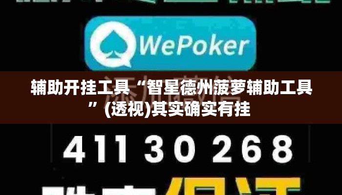 辅助开挂工具“智星德州菠萝辅助工具”(透视)其实确实有挂 