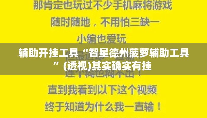 辅助开挂工具“智星德州菠萝辅助工具”(透视)其实确实有挂 