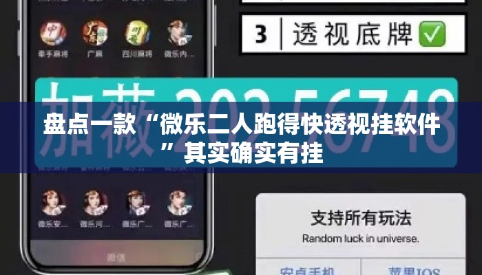盘点一款“微乐二人跑得快透视挂软件”其实确实有挂