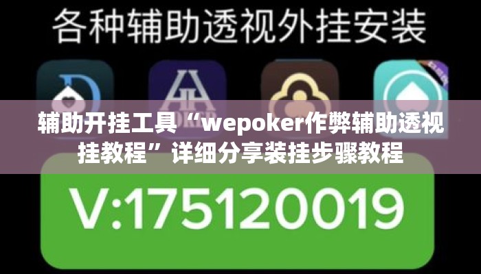 辅助开挂工具“wepoker作弊辅助透视挂教程”详细分享装挂步骤教程