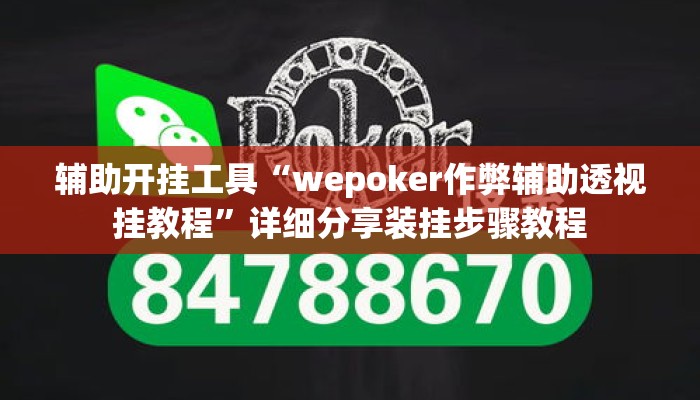 辅助开挂工具“wepoker作弊辅助透视挂教程	”详细分享装挂步骤教程